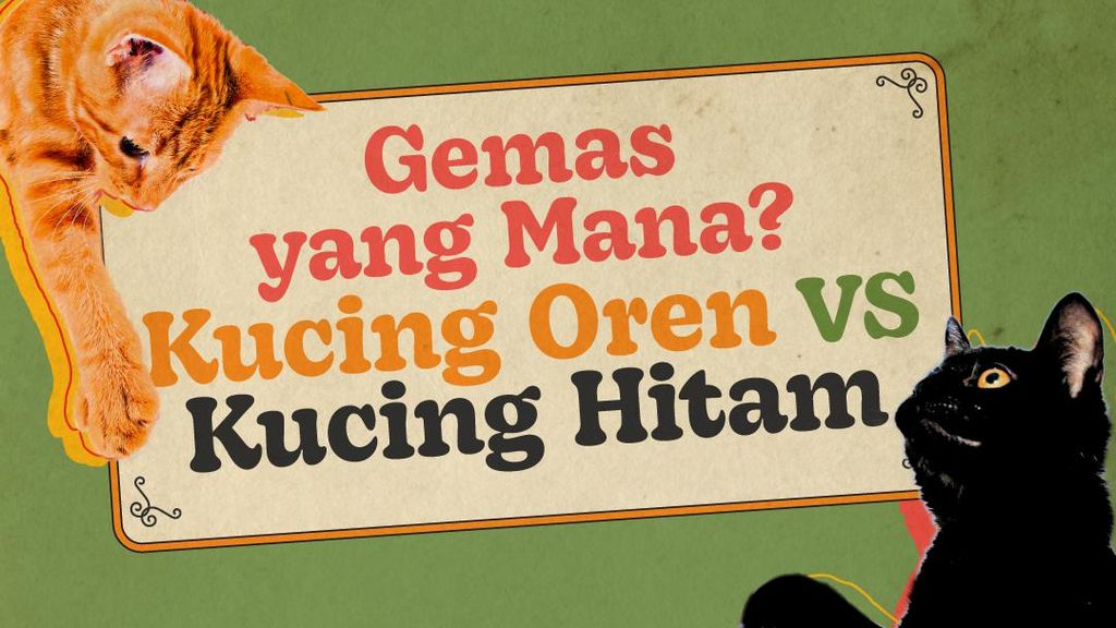 INFOGRAFIS: Kucing Oren vs Kucing Hitam, Mana yang Lebih Gemas?